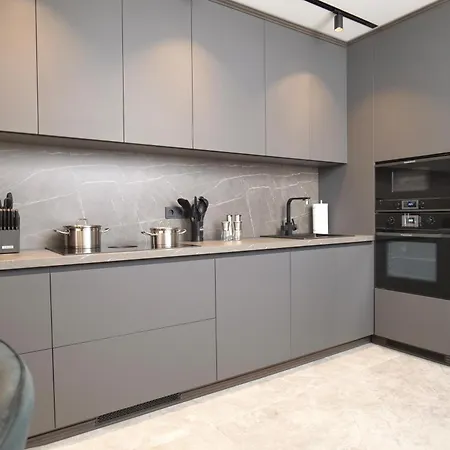 Apartment Luxus-appartment Neben Rhein & Reben