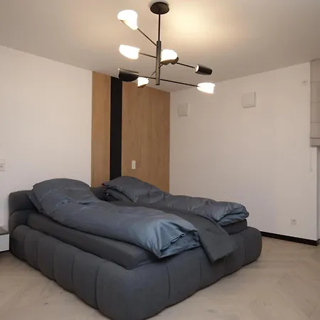 Luxus-appartments Neben Rhein & Reben