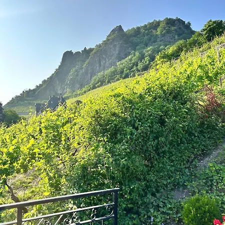 公寓 Luxus-appartments Neben Rhein & Reben *