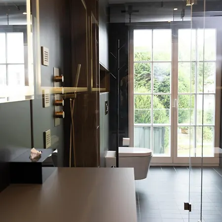 公寓 Luxus-appartments Neben Rhein & Reben 莱茵河畔的巴特霍内夫