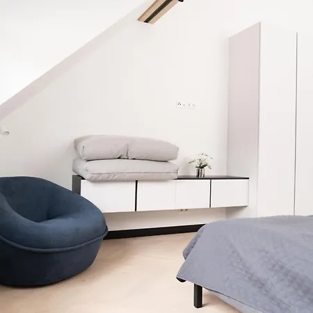 公寓 Luxus-appartments Neben Rhein & Reben 莱茵河畔的巴特霍内夫