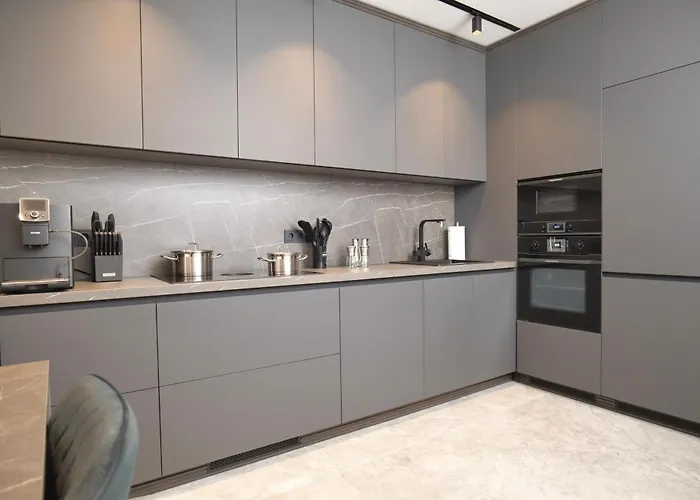 公寓 Luxus-appartments Neben Rhein & Reben