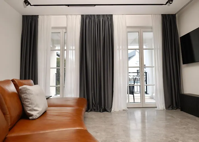 公寓 Luxus-appartments Neben Rhein & Reben 莱茵河畔的巴特霍内夫