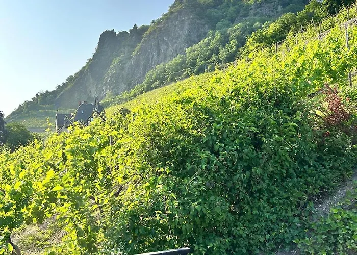 Apartmán Luxus-appartments Neben Rhein & Reben *