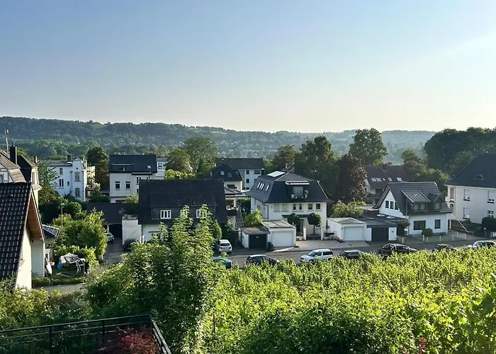 Luxus-appartments Neben Rhein & Reben 公寓