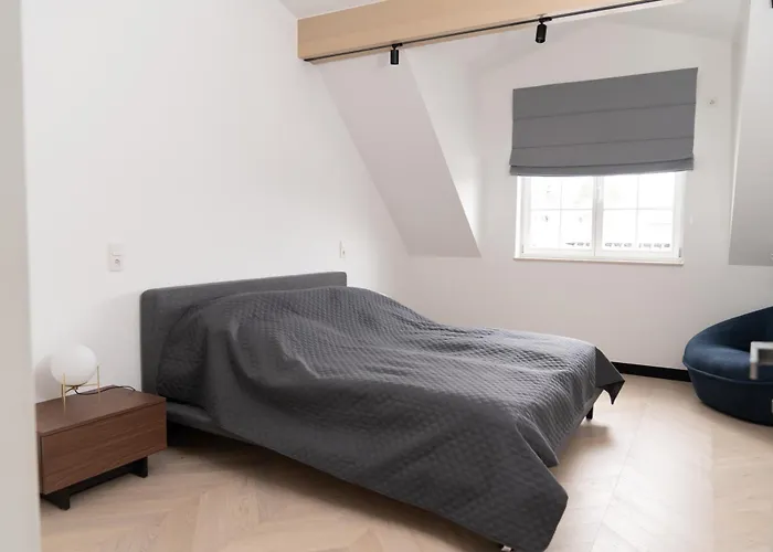 Luxus-appartments Neben Rhein & Reben 莱茵河畔的巴特霍内夫