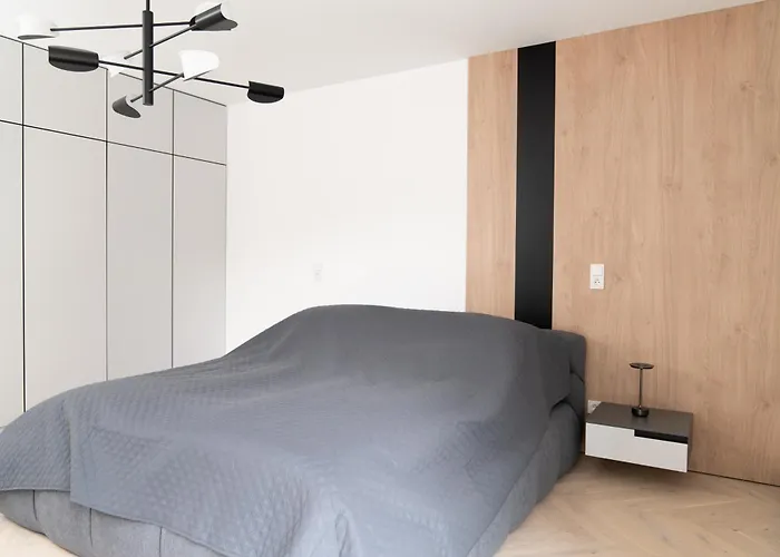 Luxus-appartments Neben Rhein & Reben Appartement