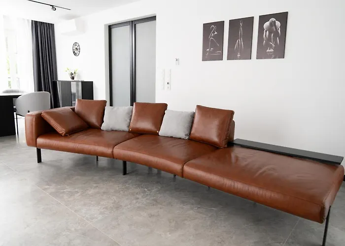 Luxus-appartments Neben Rhein & Reben 莱茵河畔的巴特霍内夫