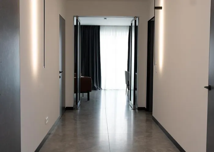 公寓 Luxus-appartments Neben Rhein & Reben 莱茵河畔的巴特霍内夫