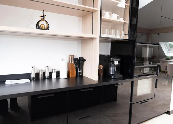 Luxus-appartments Neben Rhein & Reben 莱茵河畔的巴特霍内夫