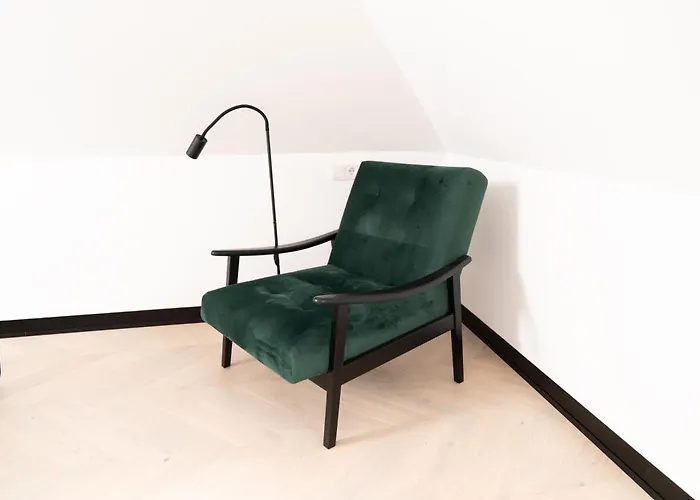 公寓 Luxus-appartments Neben Rhein & Reben 莱茵河畔的巴特霍内夫